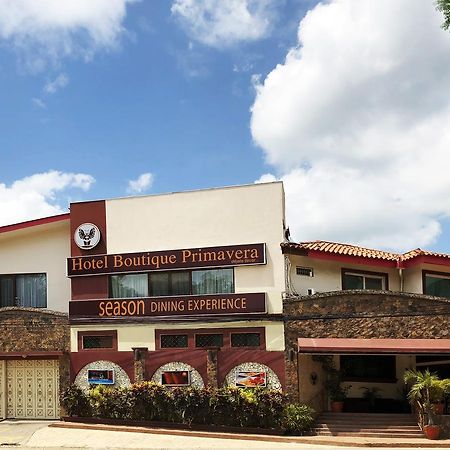 Hotel Boutique Primavera سان بيدرو سولا المظهر الخارجي الصورة